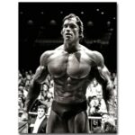 Arnold Schwarzenegger