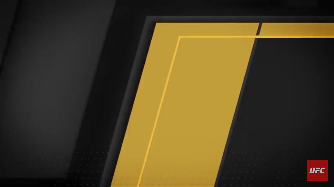 UFC Highlights of 2020