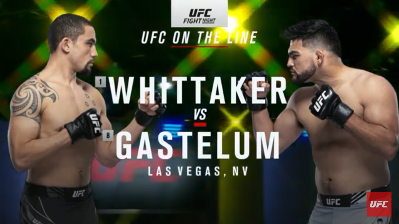 UFC Vegas 24
