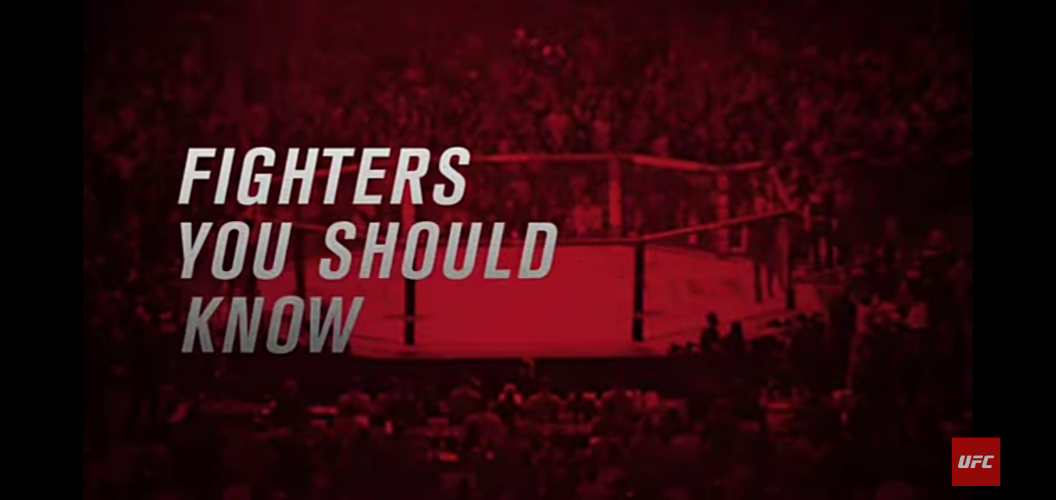 UFC 265: Fighters You Should Know