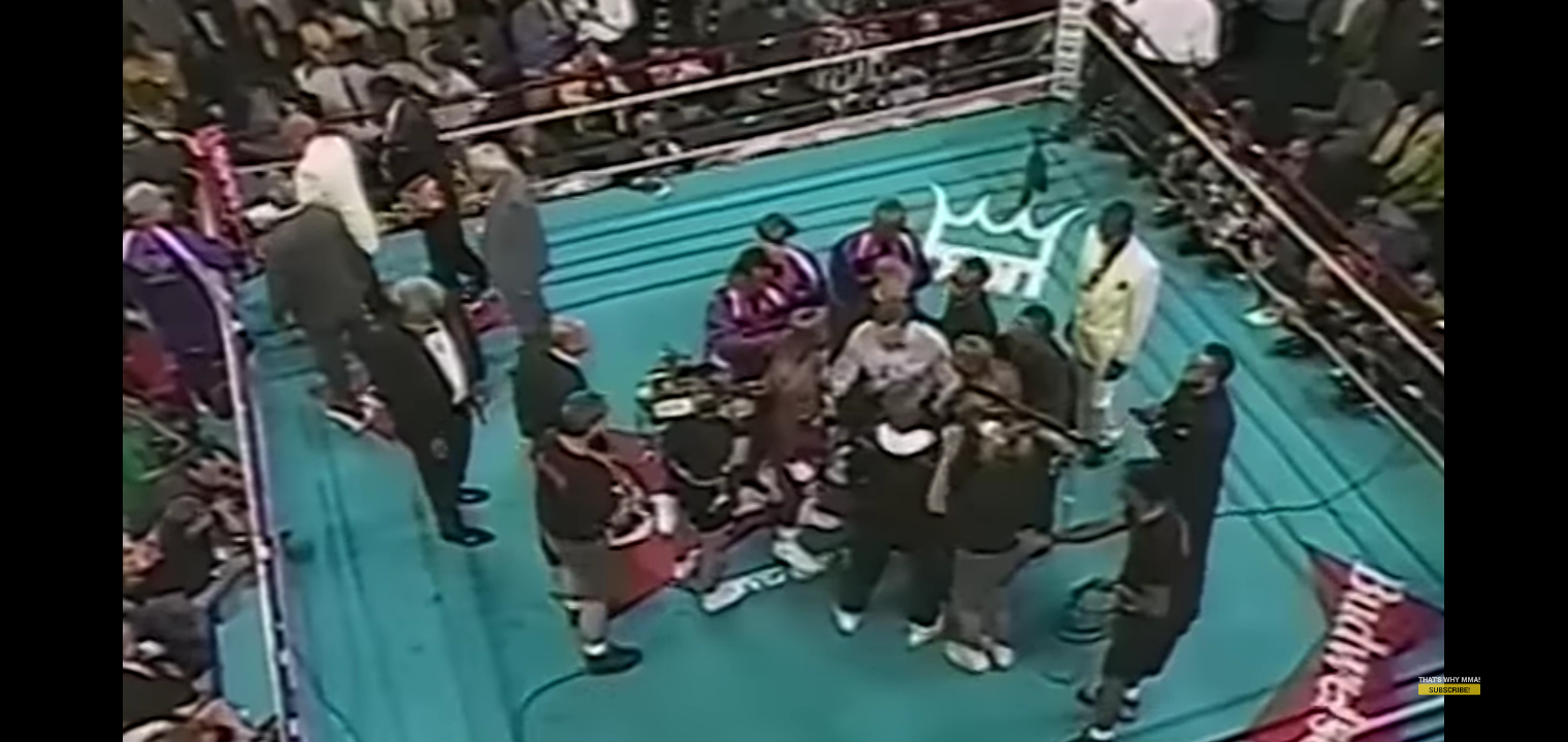 Evander Holyfield vs Vaughn Bean