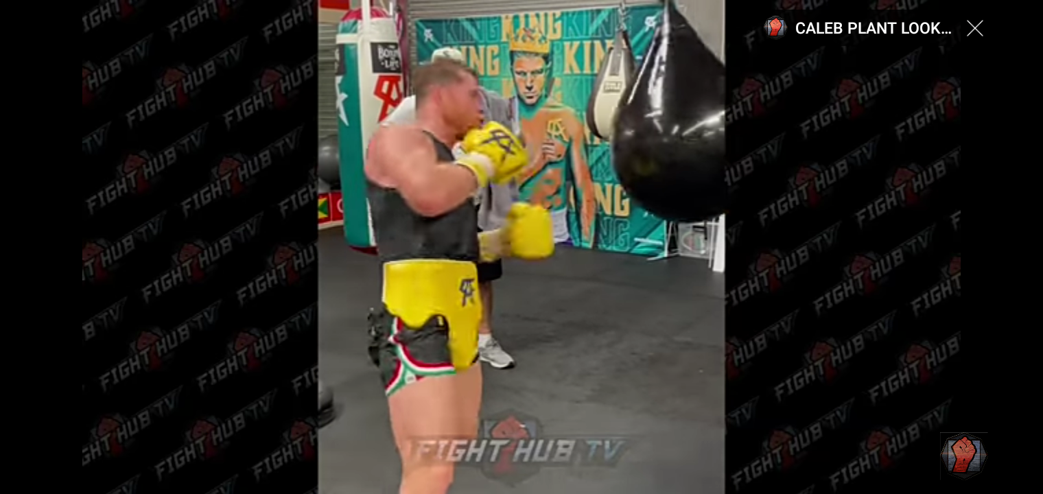 CANELO LOOKING TO KNOCK CALEB PLANTS HEAD OFF WITH UPPERCUTS & HOOKS AS INTENSITY GROWS IN TRAINING