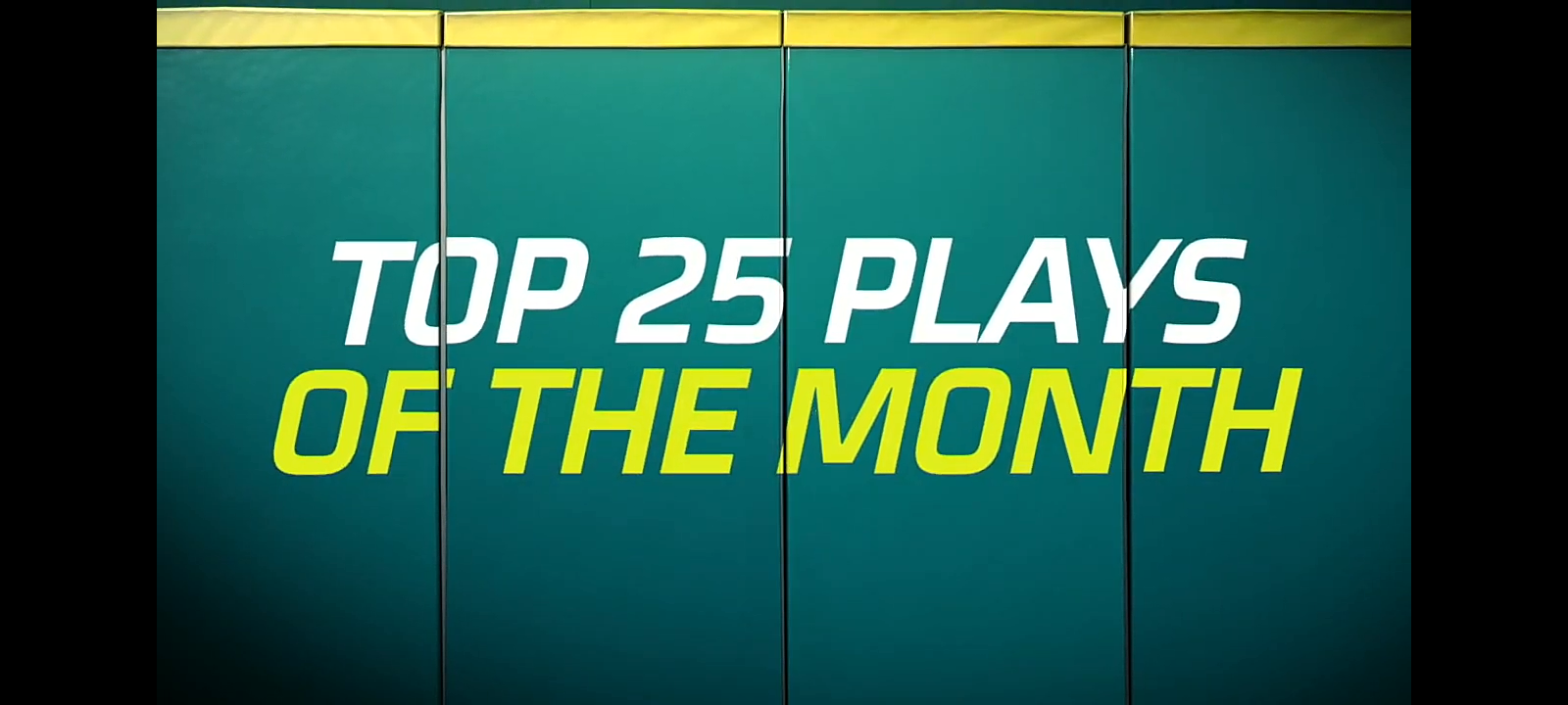 Top 25 Plays of June! (Feat. A perfect game, a steal of home, and, MORE!)