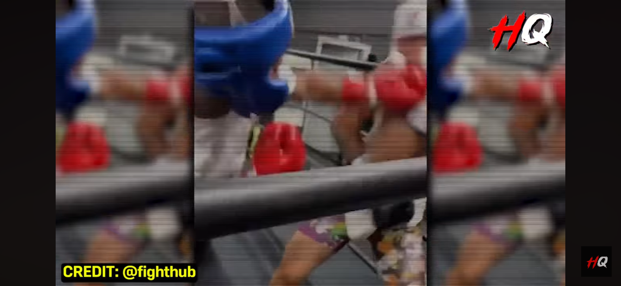 Joe Rogan in SHOCK After Gervonta Davis Knocks Out a Heavyweight During Sparring!